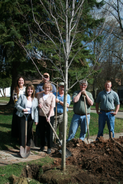 Hancock tree planting